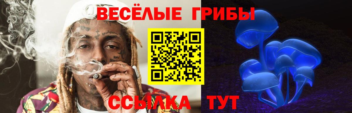 Галлюциногенные грибы MAGIC MUSHROOMS  Галлюциногенные грибы Cubensis  Строитель  Вход с VPN 